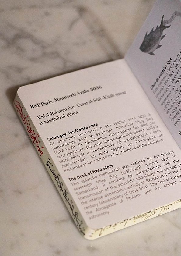 Merch Notizbuch Innen mit Text ★ Universal Art Group