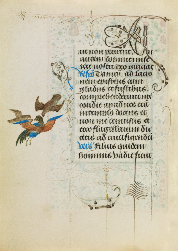 Das Nassauer Stundenbuch ★ Universal Art Group