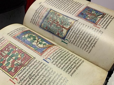 FBM 2023, Frankfurter Buchmesse 2023. Blick ins Faksimile "Von Pfalnzen und Tieren - Ein Mittelalterliches Hausbuch" ★ Universal Art Group