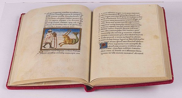 Aratea Vaticana, Müller und Schindler, aufgeschlagen ★ Universal Art Group