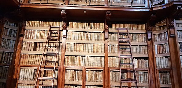 Bibliotheksbücherwand ★ Universal Art Group