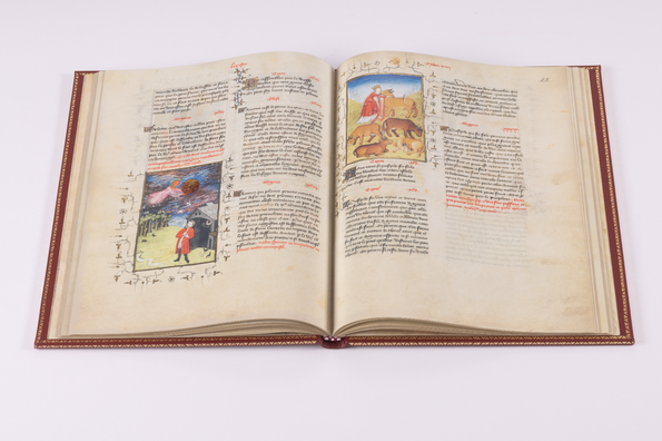 Ratschläge für einen jungen Helden ★ Universal Art Group