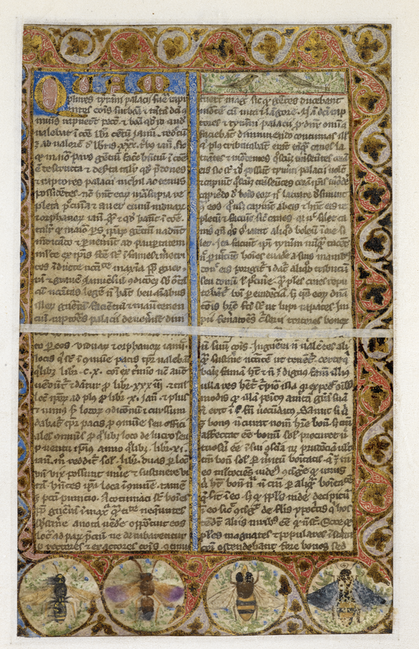 Cocharelli Codex Textseite ★ Universal Art Group