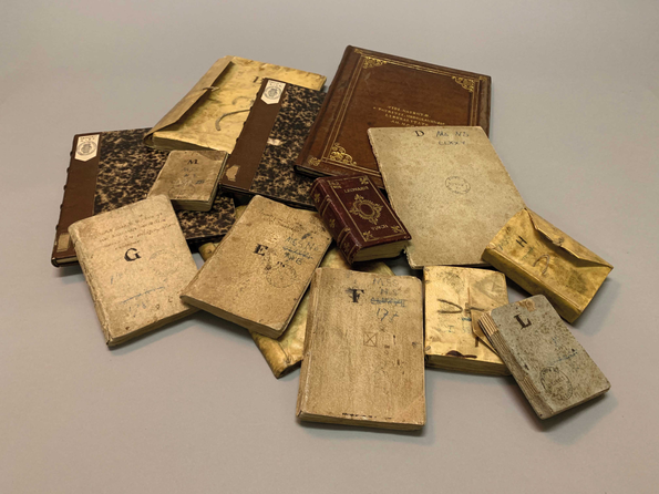 Die 12 Notizbücher des Leonardo da Vinci ★ Universal Art Group