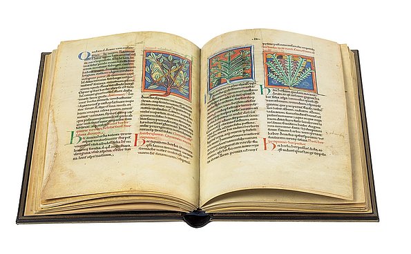 Von Pflanzen und Tieren ★ Universal Art Group