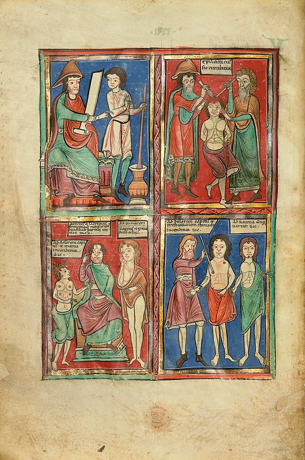 Von Pflanzen und Tieren ★ Universal Art Group