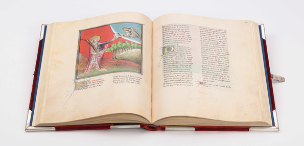 Berry Apocalypse, aufgeschlagen, Müller und Schindler ★ Universal Art Group