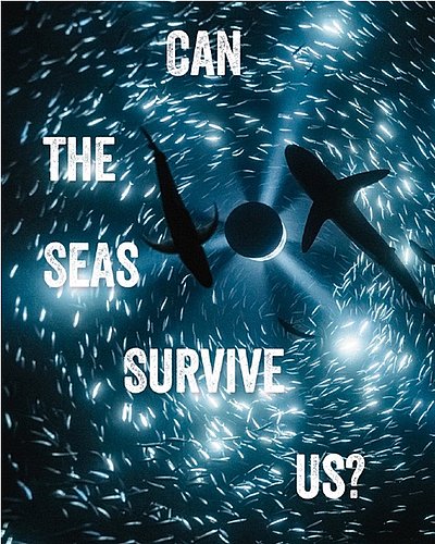 Kulturalis`neues Projekt ★ Universal Art Group