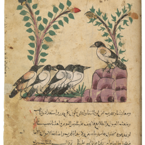  Der Rabenkönig ★ Universal Art Group