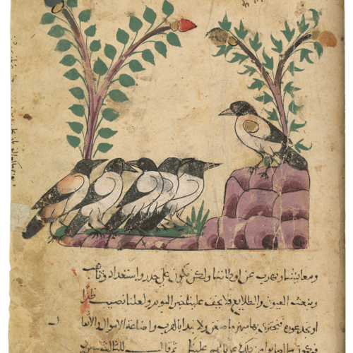  Der Rabenkönig ★ Universal Art Group