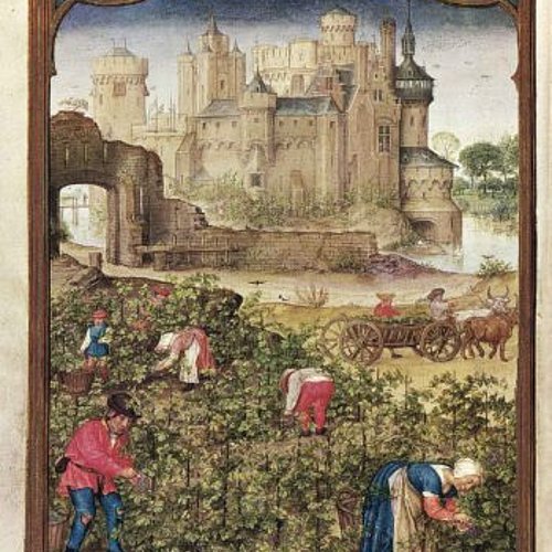 September (Weinlese) ★ Universal Art Group