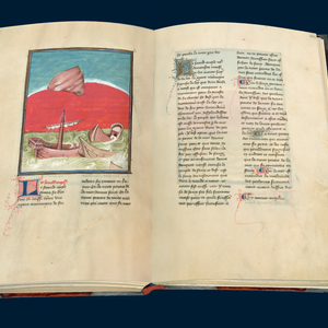 Berry Apocalypse, Müller und Schindler ★ Universal Art Group