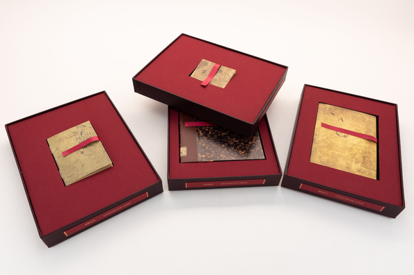 Die 12 Notizbücher des Leonardo da Vinci ★ Universal Art Group