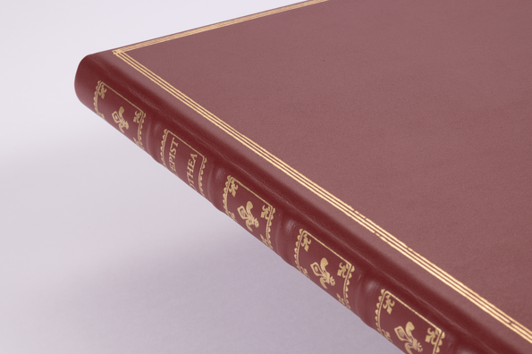 Ratschläge für einen jungen Helden ★ Universal Art Group